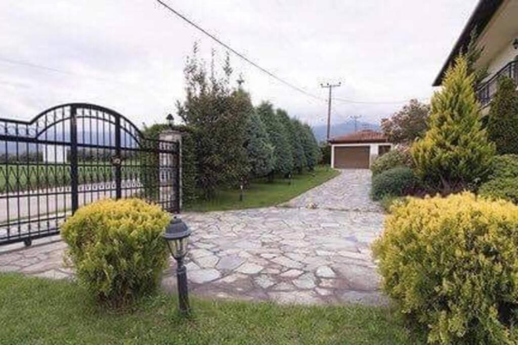 Olympus Leptokaria'S Luxurious Villa Exterior photo